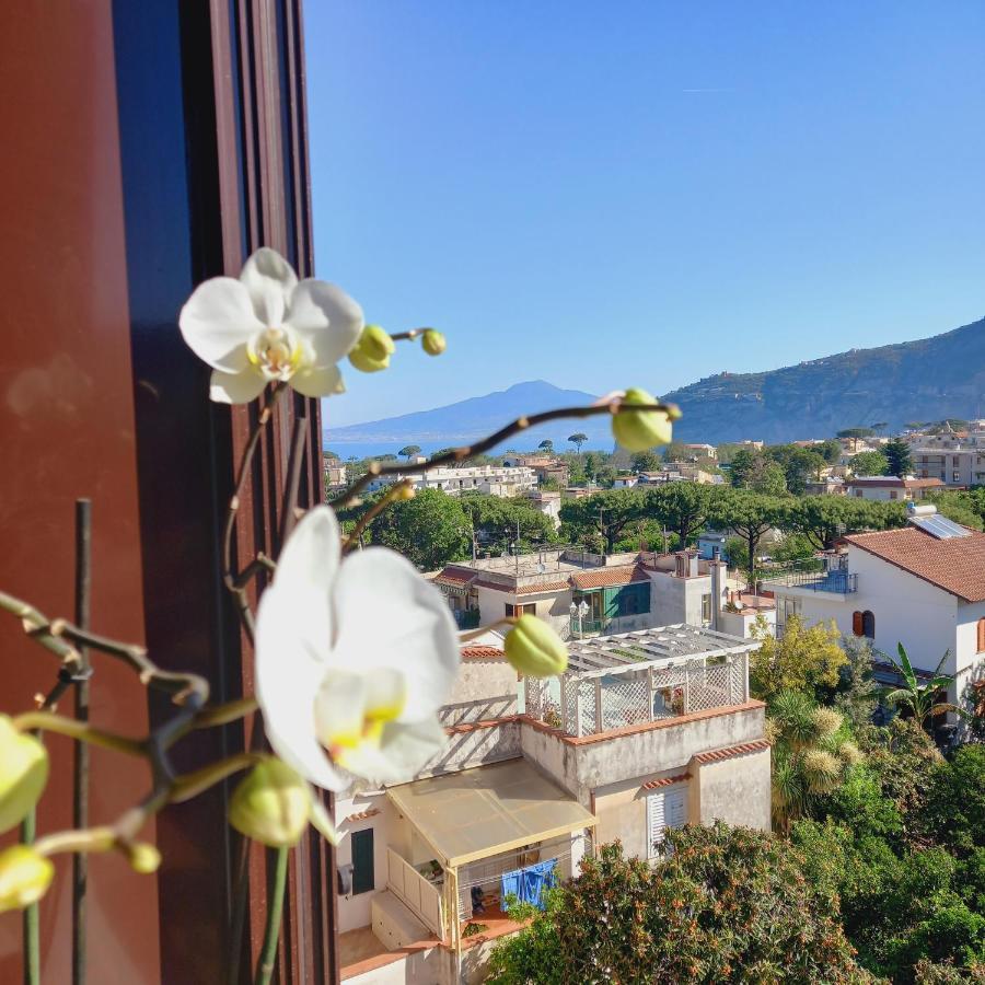 Apartament Standbyme Sant'Agnello Zewnętrze zdjęcie